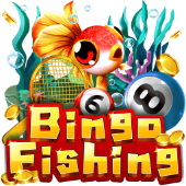 nh888 bắn cá Bingo